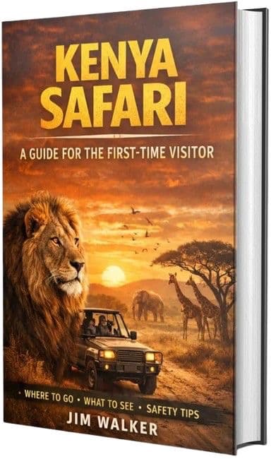 Kenya Safari: A Guide for the First-Time Visitor background